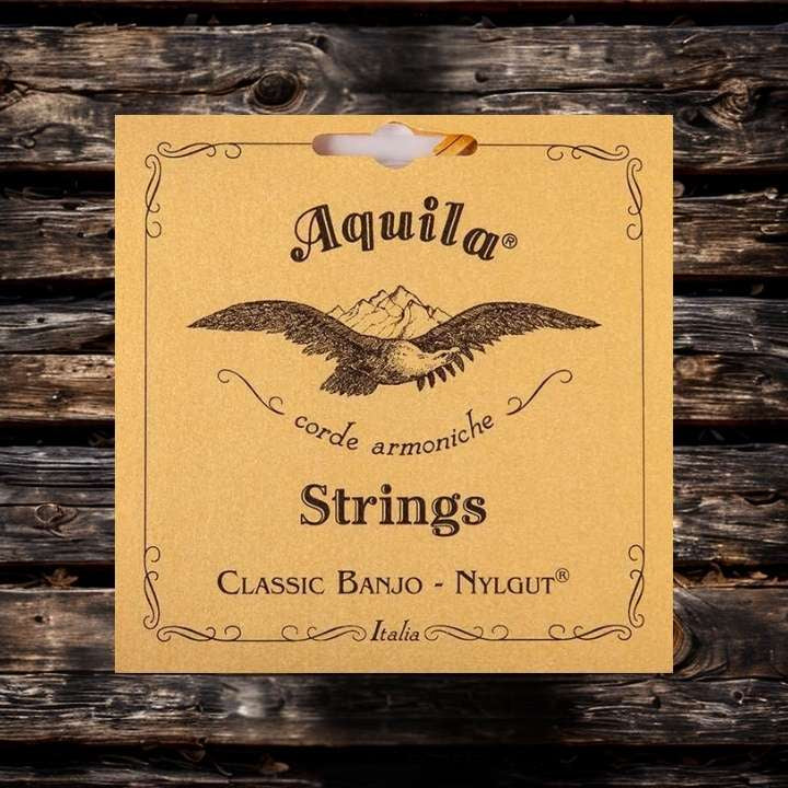 Aquila 5-string Banjo Nylgut 1B