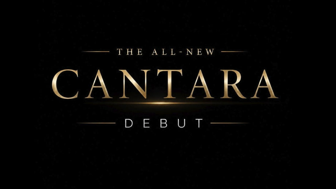 Introducing The FlintMeryl CANTARA II – Grand Auditorium Acoustic Guitar