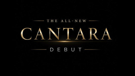 Introducing The FlintMeryl CANTARA II – Grand Auditorium Acoustic Guitar