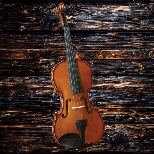 Anton Breton Violin Outfit - AB05