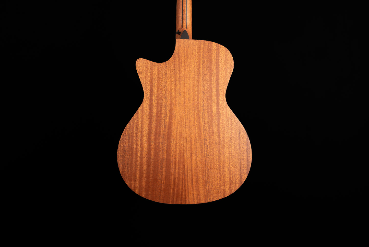 FlintMeryl CANTARA ~ Grand Auditotium Guitar