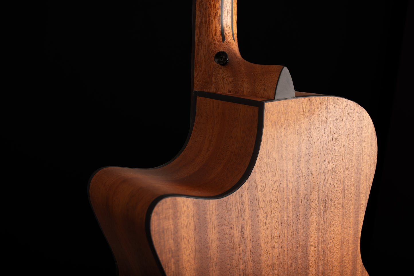 FlintMeryl CANTARA ~ Grand Auditotium Guitar