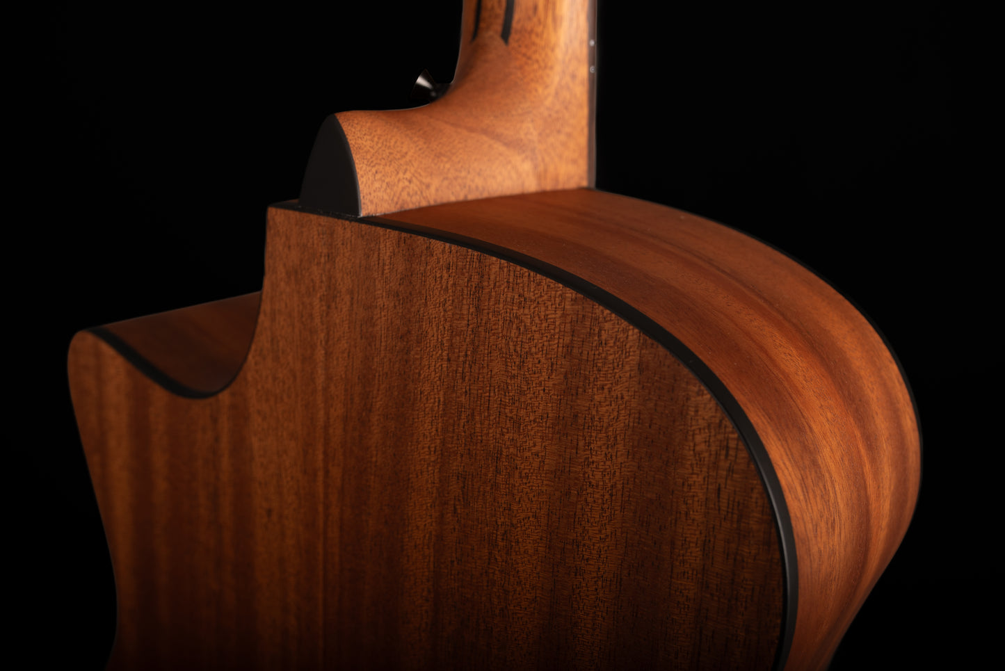 FlintMeryl CANTARA ~ Grand Auditotium Guitar