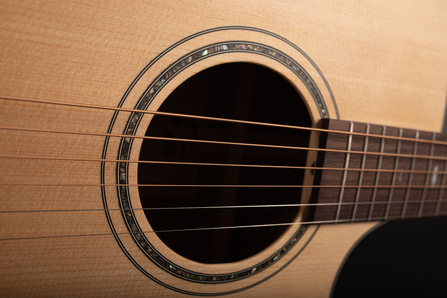 FlintMeryl CANTARA ~ Grand Auditotium Guitar