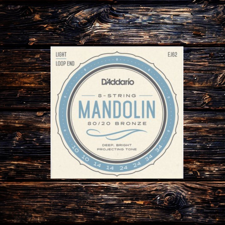 D'Addario Mandolin 80/20 Bronze Wound 10-34 Light