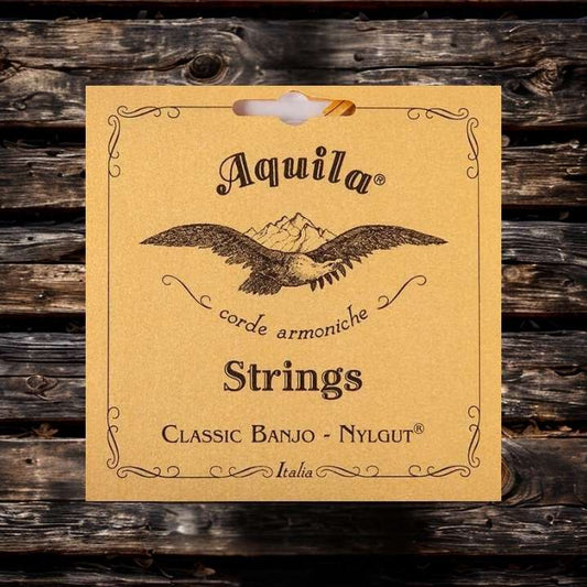 Aquila 5-string Banjo Nylgut 1B