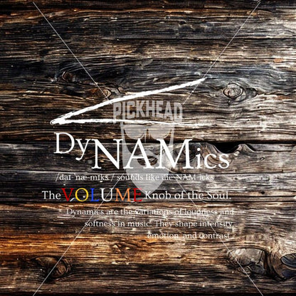 PickHead™️ Dynamics Women's T-shirt