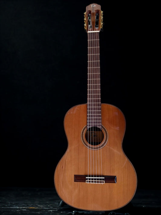 FlintMeryl ONE ~ Concert