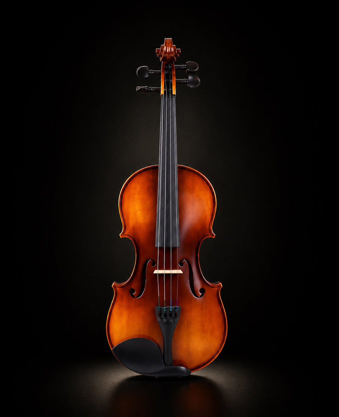 FlintMeryl Violin vn100 Full Setup