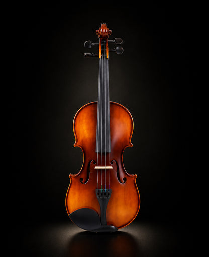 FlintMeryl Violin vn100 Full Setup